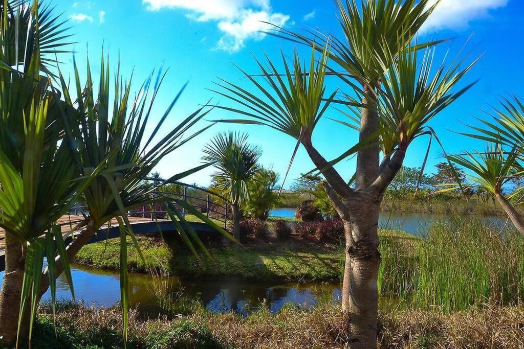 Royal Oasis *